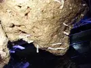 [TodoMarino.com] tubos de piedra