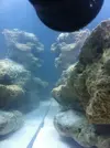 [TodoMarino.com] Nuevo proyecto  100l, con sumo de 60l
