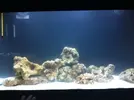 [TodoMarino.com] Nuevo proyecto  100l, con sumo de 60l