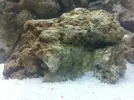[TodoMarino.com] Nuevo proyecto  100l, con sumo de 60l