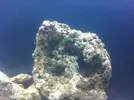 [TodoMarino.com] Nuevo proyecto  100l, con sumo de 60l