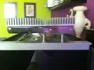 [TodoMarino.com] Soporte pantalla led!