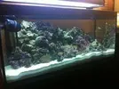 [TodoMarino.com] El acuario de los Buzury