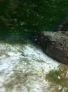 [TodoMarino.com] Vida en mi marino nano de 80l