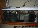 [TodoMarino.com] Mi primer acuario marino