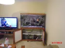 [TodoMarino.com] Mi primer acuario marino
