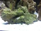 [TodoMarino.com] Nuevo proyecto  100l, con sumo de 60l