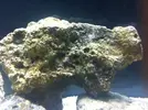[TodoMarino.com] Nuevo proyecto  100l, con sumo de 60l