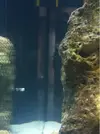 [TodoMarino.com] Nuevo proyecto  100l, con sumo de 60l