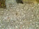 [TodoMarino.com] Nuevo proyecto  100l, con sumo de 60l