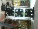 [TodoMarino.com] Ventiladores en el sump