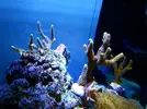[TodoMarino.com] Mi pequeño "cachito de oceano"