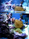 [TodoMarino.com] Mi pequeño "cachito de oceano"