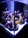[TodoMarino.com] Mi pequeño "cachito de oceano"