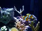 [TodoMarino.com] Mi pequeño "cachito de oceano"