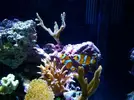 [TodoMarino.com] Mi pequeño "cachito de oceano"