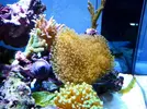 [TodoMarino.com] Mi pequeño "cachito de oceano"