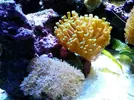 [TodoMarino.com] Mi pequeño "cachito de oceano"