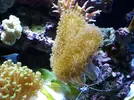 [TodoMarino.com] Mi pequeño "cachito de oceano"