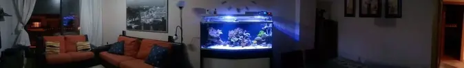 [TodoMarino.com] Poner aquí la foto de vuestro acuario...