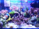 [TodoMarino.com] Mi nano de 35l