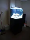 [TodoMarino.com] VaniCUBE un trozo de arrecife en un cubo de 216 Litros