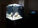 [TodoMarino.com] VaniCUBE un trozo de arrecife en un cubo de 216 Litros