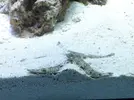 [TodoMarino.com] VaniCUBE un trozo de arrecife en un cubo de 216 Litros