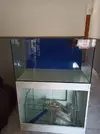 [TodoMarino.com] Proyecto Acuario Marine Blau 230L + 90L Sum