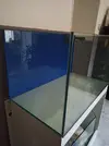 [TodoMarino.com] Proyecto Acuario Marine Blau 230L + 90L Sum