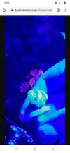[TodoMarino.com] Coral Candy verde. Radiact. Con una mancha negra