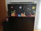 [TodoMarino.com] Ventino's reef
