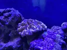 [TodoMarino.com] Mi primer marino “serio”