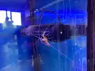 [TodoMarino.com] Mi primer marino “serio”