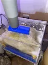 [TodoMarino.com] Mi primer marino “serio”
