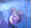 [TodoMarino.com] Vendo todos mis zoas y actinos - Oviedo