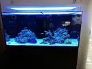 [TodoMarino.com] Ventino's reef