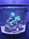 [TodoMarino.com] Mi nuevo acuario