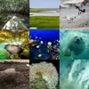 [TodoMarino.com] 9 TIPOS DE ECOSISTEMAS MARINOS