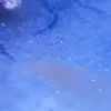[TodoMarino.com] Alguien me puede decir que es estas manchas en la roca