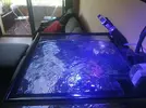 [TodoMarino.com] Brico tapa acuario DIY