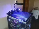 [TodoMarino.com] Brico tapa acuario DIY