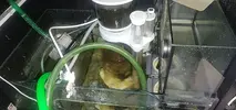 [TodoMarino.com] (CERRADO) Vendo por desmonte - 350L - BARCELONA - NO ENVIO - Barcelona