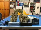 [TodoMarino.com] Se vende material variado: skimmer, bomba movimiento, roca... - Gijón (Asturias)