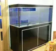 [TodoMarino.com] Vendo Acuario + mesa + sump - Valls - Tarragona