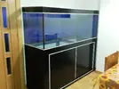 [TodoMarino.com] Vendo Acuario + mesa + sump - Valls - Tarragona