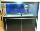 [TodoMarino.com] Vendo Acuario + mesa + sump - Valls - Tarragona