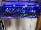 [TodoMarino.com] Acuario conpleto