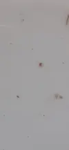 [TodoMarino.com] Que es esto?