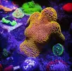 [TodoMarino.com] Decoracion Lego